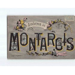 MONTARGIS : Carte Souvenir - état