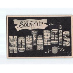 MONTARGIS : Carte Souvenir - état