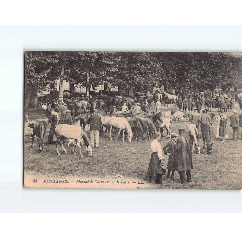 MONTARGIS : Marché de Chevaux sur le Patis - très bon état