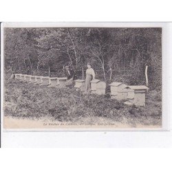 BOIS-JEROME: le rûcher du catillon, 1er section - très bon état