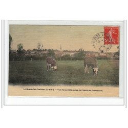 LA QUEUE LES YVELINES - Vue d'ensemble, prise du Chemin de Grosrouvre - très bon état