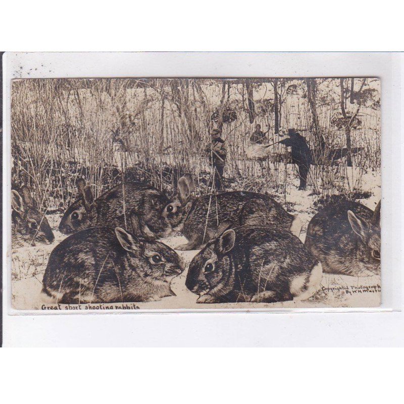 SURREALISME: photo montage, chasse, great sport shooting rabbits - très bon état