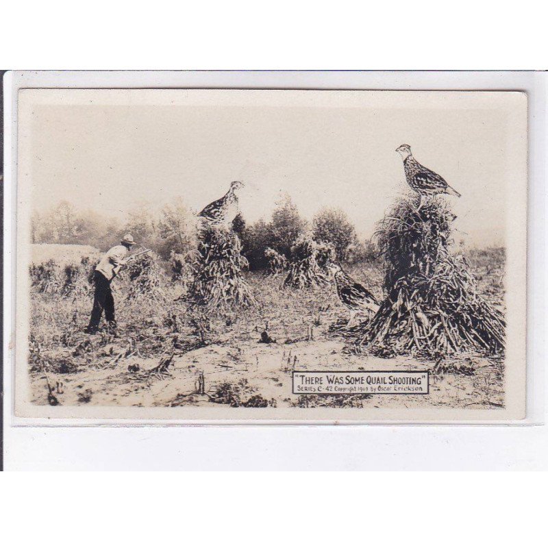 SURREALISME: photo montage, chasse, there was some quail shooting - très bon état