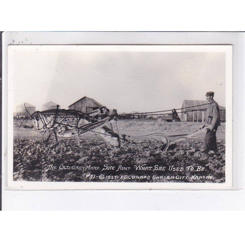 SURREALISME: photo montage, chasse, the old greymare she aint what she used to be - très bon état