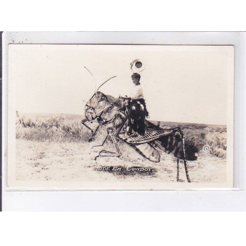 SURREALISME: photo montage, chasse, ride em cowboy - très bon état