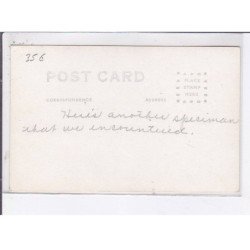 SURREALISME: photo montage, chasse, ride em cowboy - très bon état