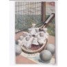 SURREALISME: photo montage, bébés sur raquette de tennis - très bon état