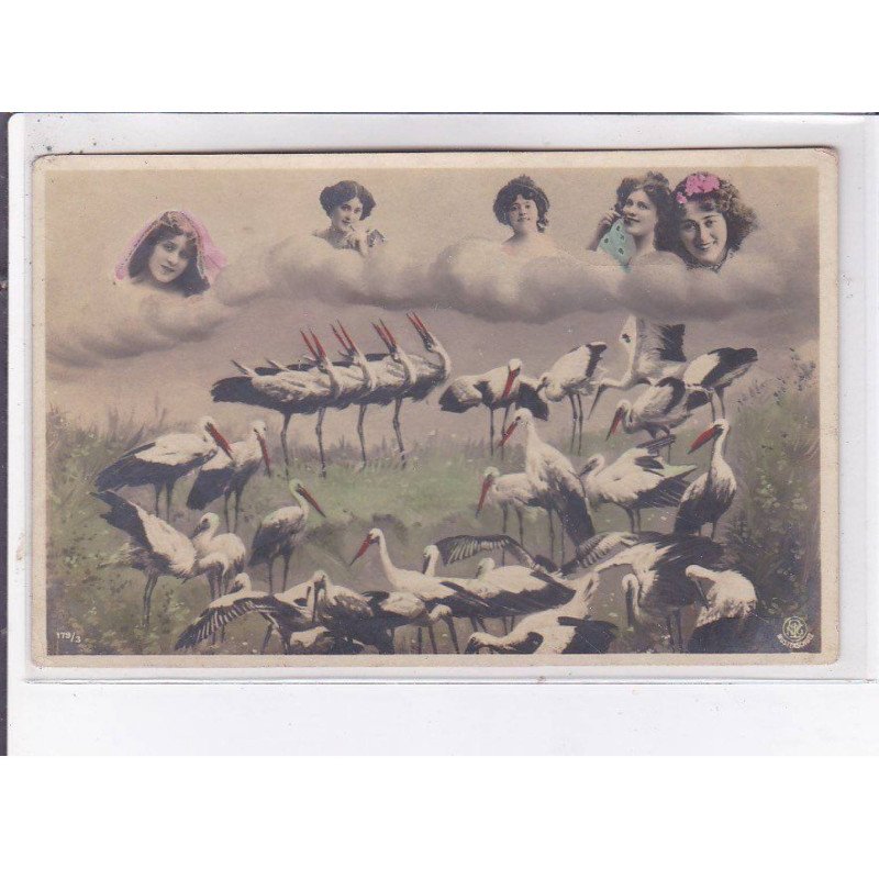 SURREALISME: photo montage, npg, oiseaux - très bon état