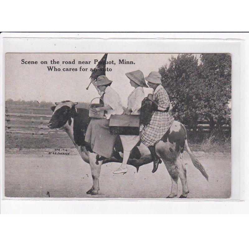 SURREALISME - Photomontage:  une vache montée - Pequot Minnessota - très bon état