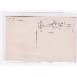 SURREALISME - Photomontage:  une vache montée - Pequot Minnessota - très bon état