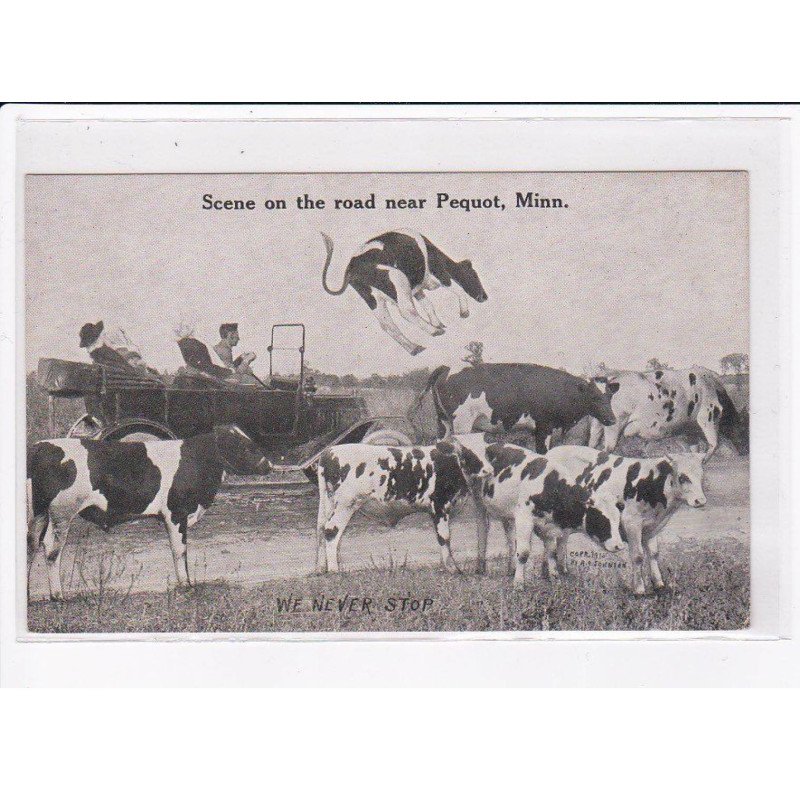 SURREALISME - Photomontage: accident de voiture avec une vache - Pequot Minnessota - très bon état