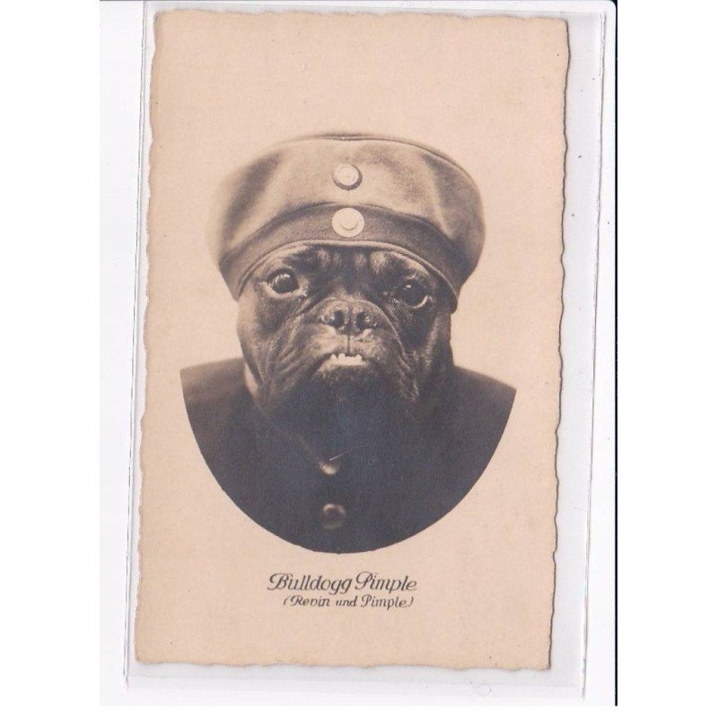 SURREALISME: chien militaire "Bulldogg Pimple - Revin and Pimple) - très bon état