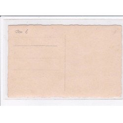 SURREALISME: chien militaire "Bulldogg Pimple - Revin and Pimple) - très bon état