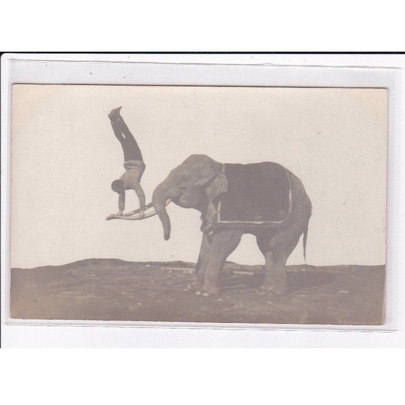 CIRQUE : dressage d'éléphant - accrobate - très bon état