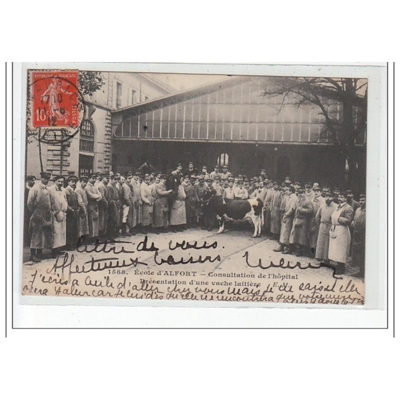 Ecole d'ALFORT - Consultation de l'hôpital - présentation d'une vache laitière - très bon état