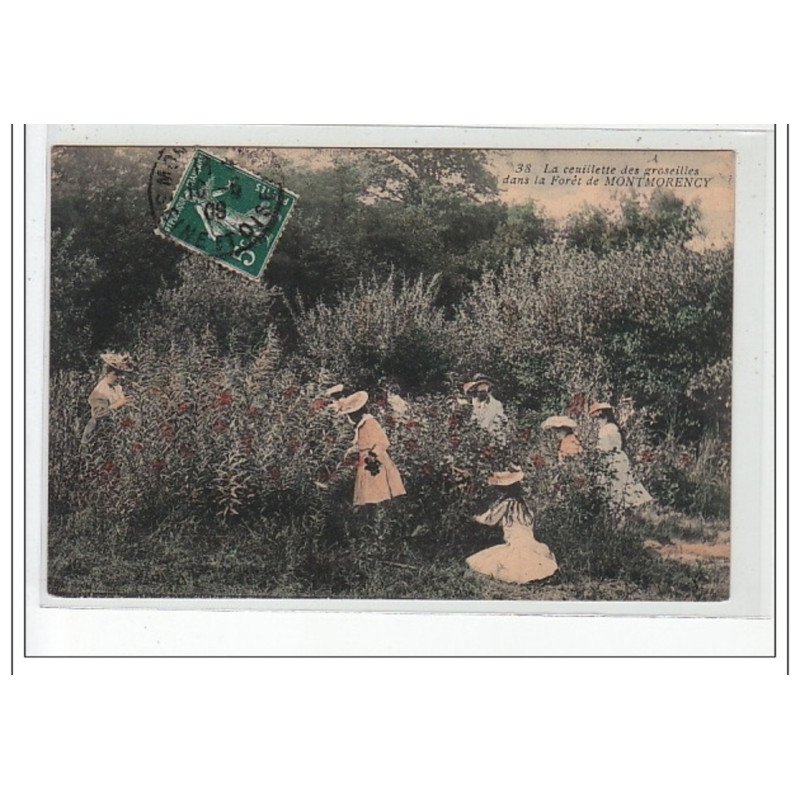 La cueillette des groseilles dans la forêt de MONTMORENCY - très bon état