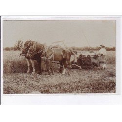 CHAMPIGNELLES: agriculture, scène de fenaisons - très bon état