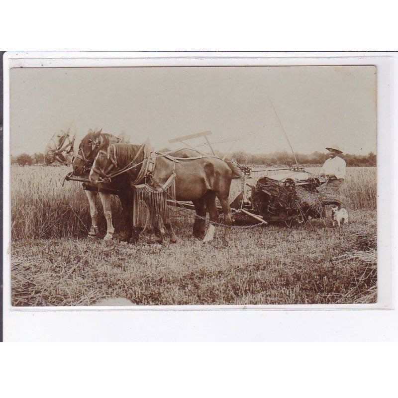 CHAMPIGNELLES: agriculture, scène de fenaisons - très bon état