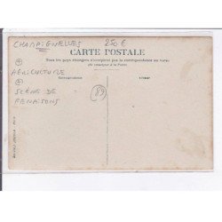 CHAMPIGNELLES: agriculture, scène de fenaisons - très bon état