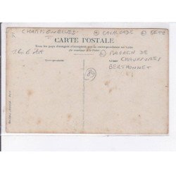 CHAMPIGNELLES: cavalcade, fête, magasin de chaussures berthonnet - état