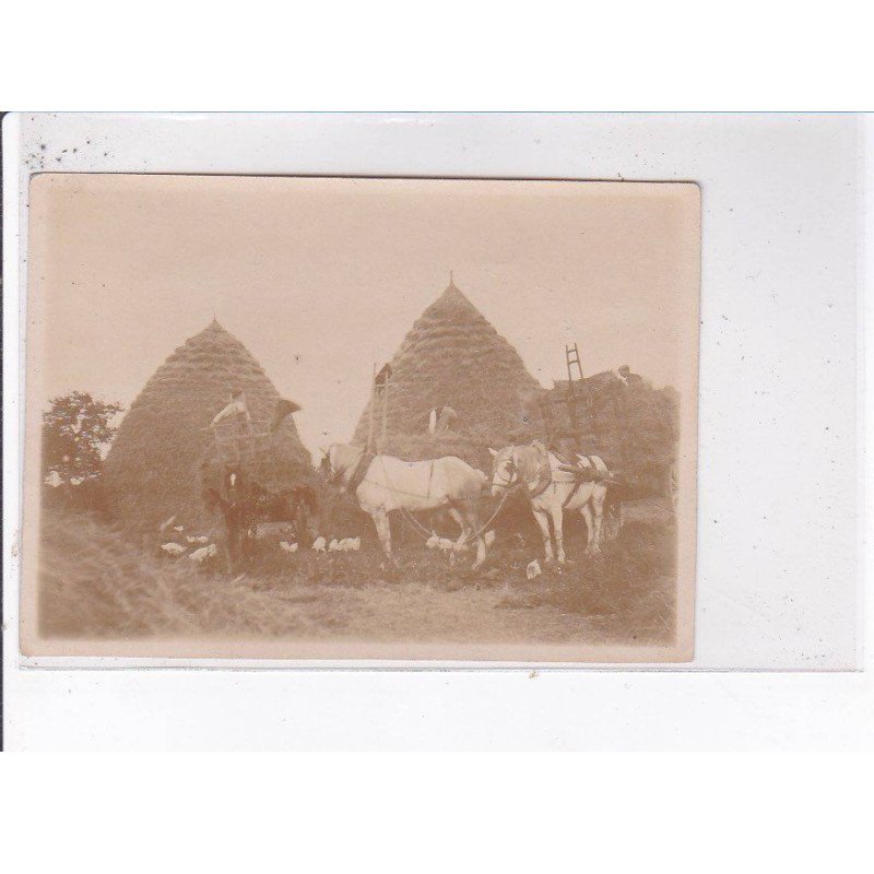 SAINT-PRIVE: fenaisons - très bon état