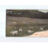 GASCOGNE : Un Pâturage - très bon état