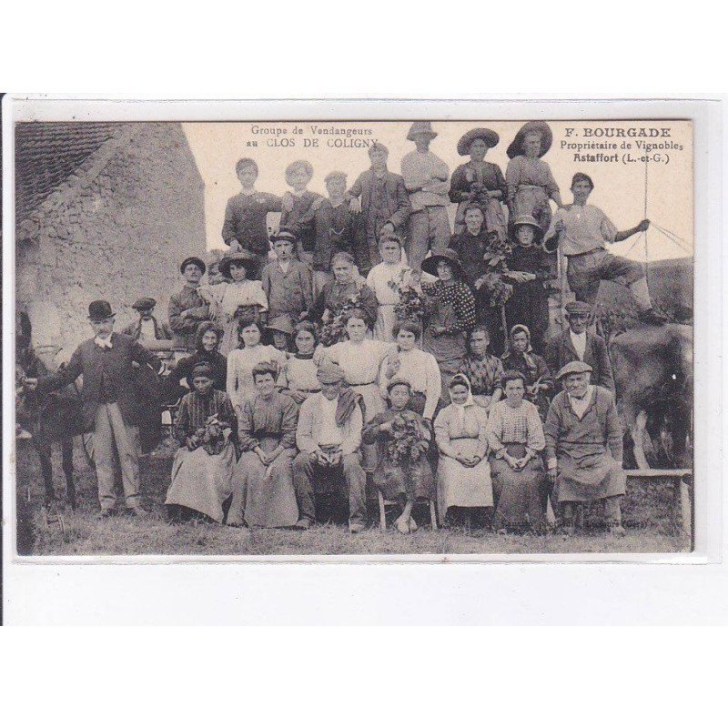 ASTAFFORT: groupe de vendangeurs, clos de coligny, F. Bourgade - très bon état