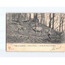 Forêt de Compiègne, Chasse à courre, La bête de chasse se hardant - état