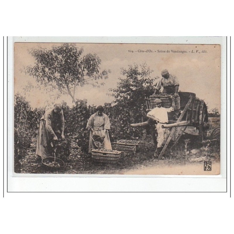 COTE D'OR - Scène de Vendanges - très bon état