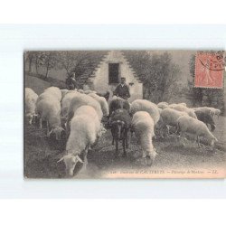 CAUTERETS : Pâturage de Moutons - état