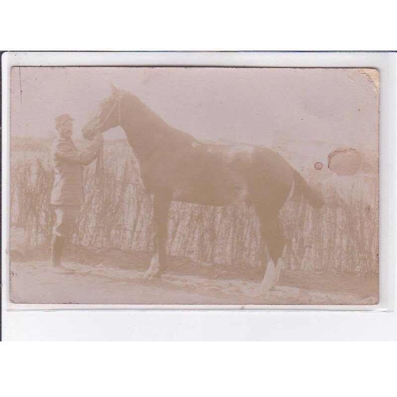 CAZEAUX-LAC: militaire, cheval - état