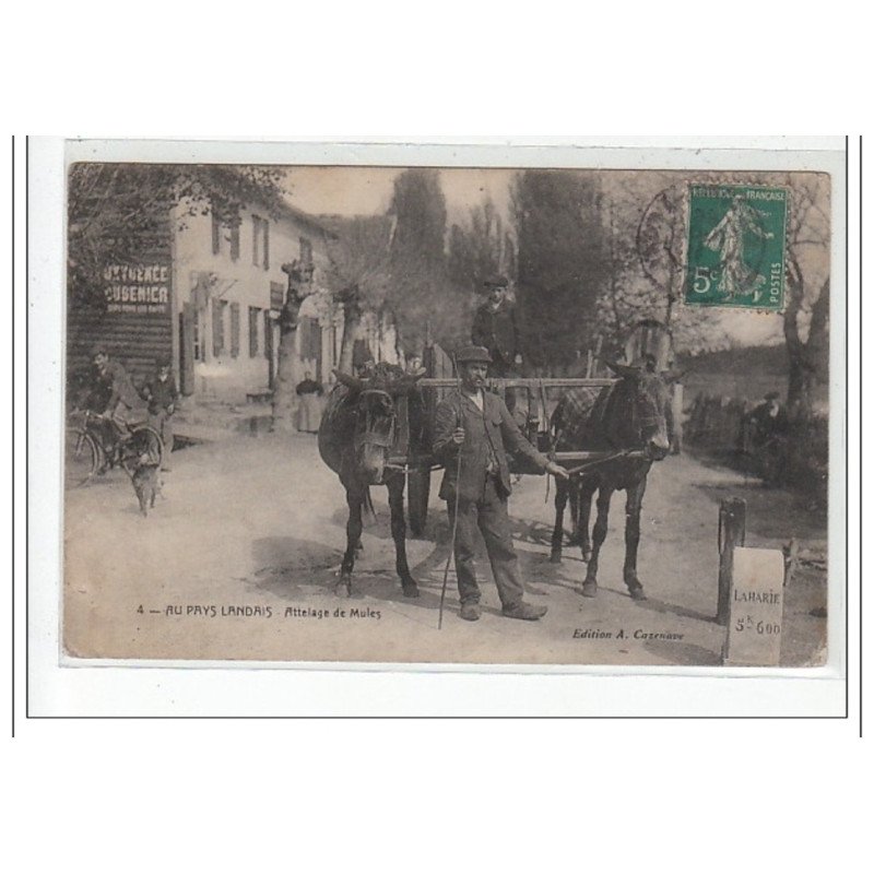 AU PAYS LANDAIS - Attelage de Mules - très bon état