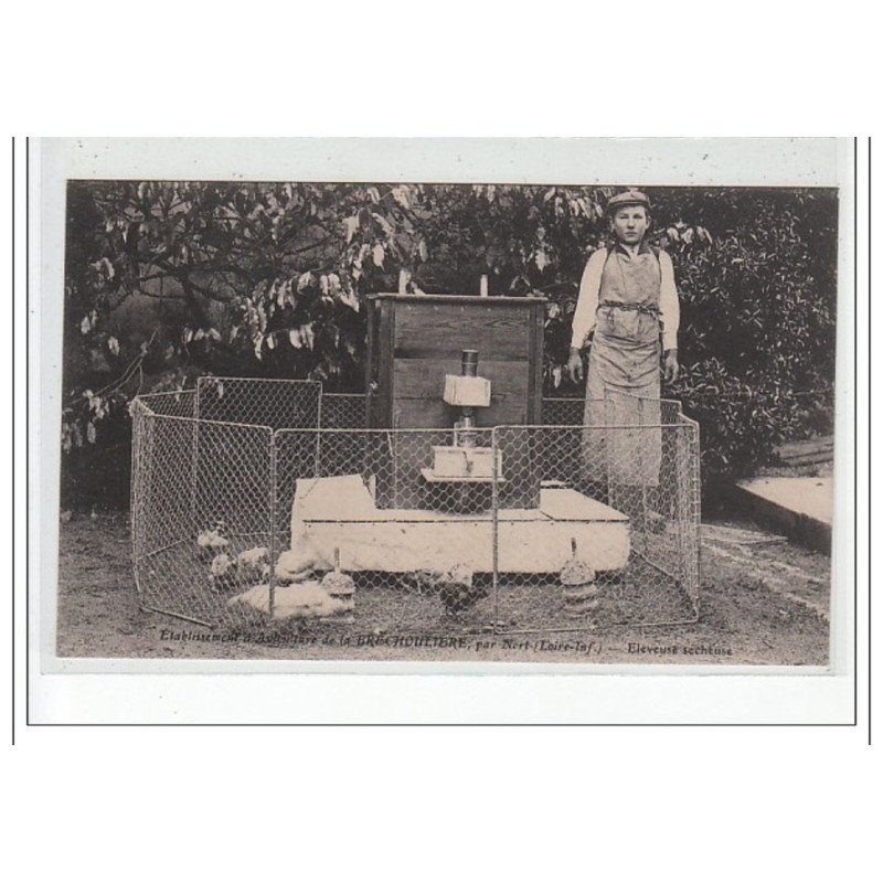 Etablissements d'Aviculture de la BRECHOUETERE, par Nort - Eleveuse sécheuse - très bon état Etablissements d'Aviculture de la BRECHOUETERE, par Nort - Eleveuse sécheuse - très bon état