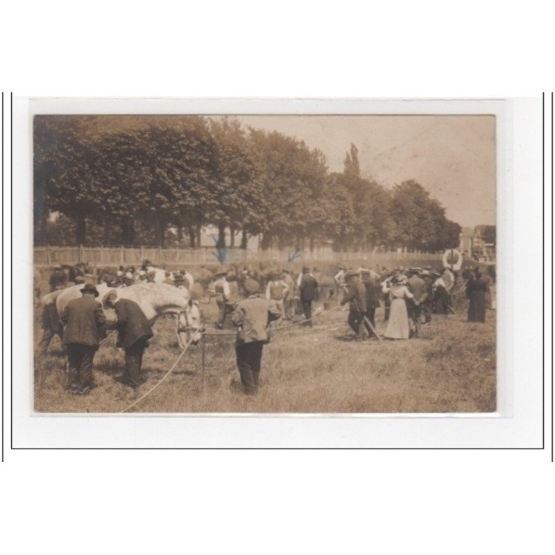 EVREUX : carte photo prise pendant le concours pour le ferrage des chevaux vers 1910 (maréchal-ferrant) - très bon état