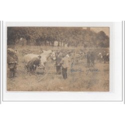 EVREUX : carte photo prise pendant le concours pour le ferrage des chevaux vers 1910 (maréchal-ferrant) - très bon état