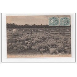 EN BEAUCE : parc à moutons - très bon état