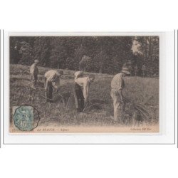 EN BEAUCE : sapeurs - très bon état