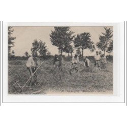 EN BEAUCE : aux champs - très bon état