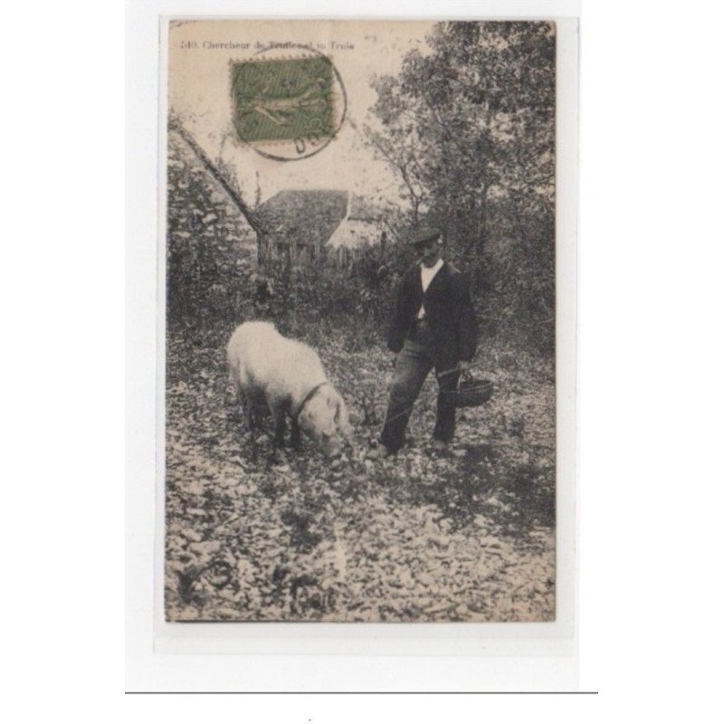 chercheur de truffes et sa truie - très bon état