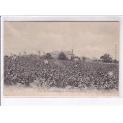 LES TOUCHES: clos de la peignerie, moulin à vent - très bon état