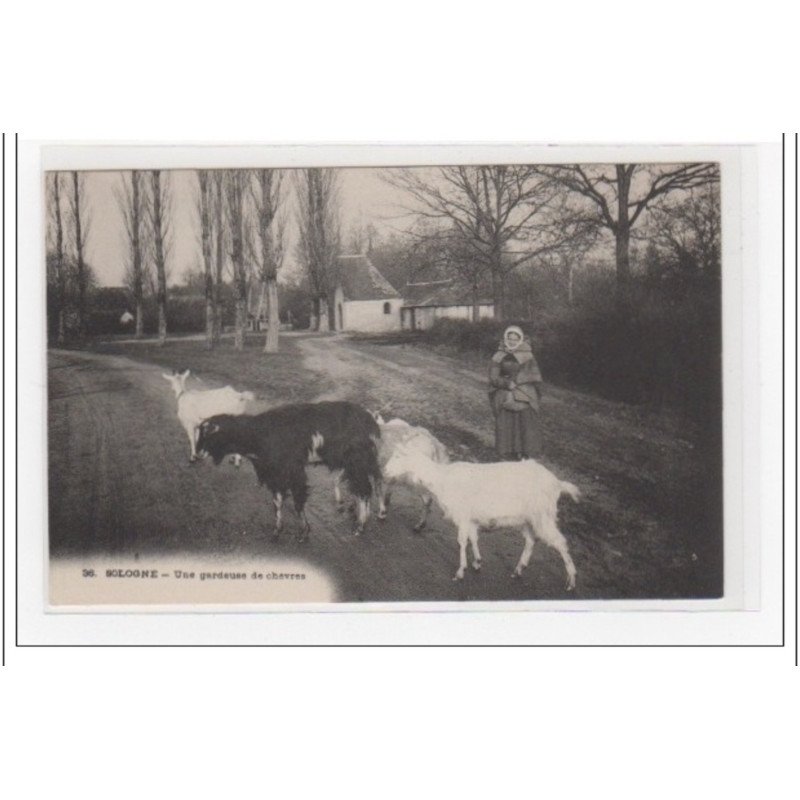 EN SOLOGNE (SOUESMES) : une gardeuse de chèvres  - très bon état