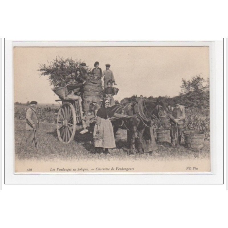 LES VENDANGES EN SOLOGNE : charrette de vendangeurs  - très bon état
