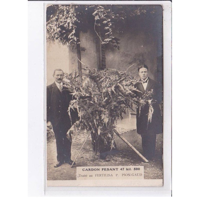 ORNACIEUX par la cote saint-andré: moulin de parassat, cardon pesant 47kg - très bon état