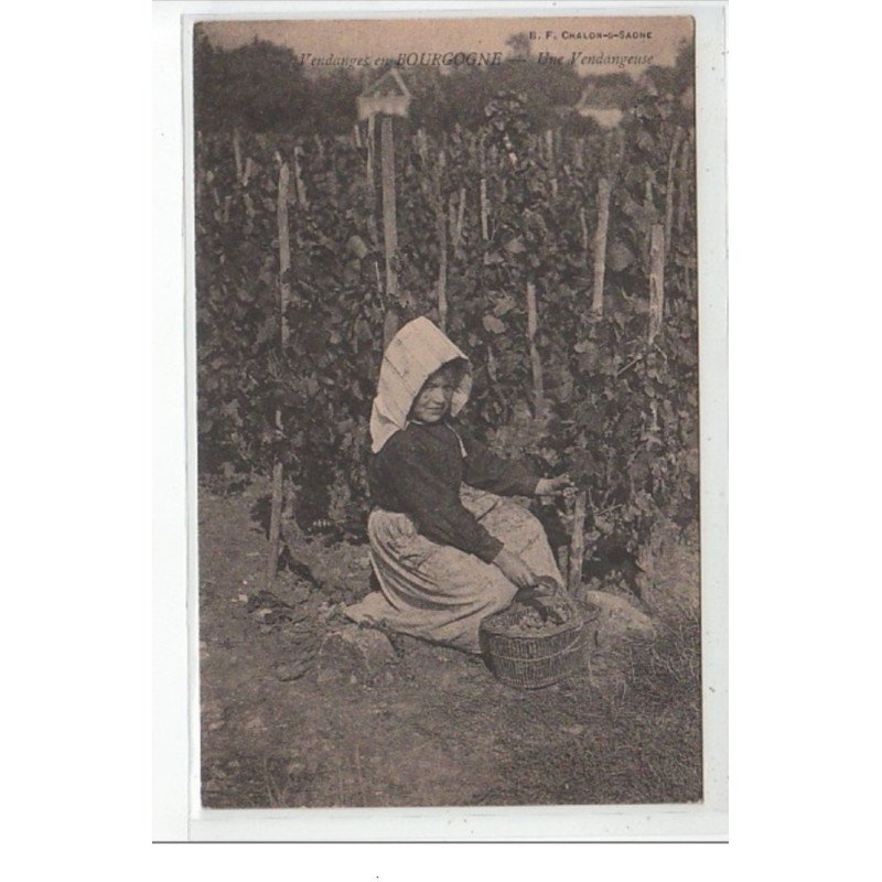 VENDANGES EN BOURGOGNE - Une vendangeuse - très bon état VENDANGES EN BOURGOGNE - Une vendangeuse - très bon état