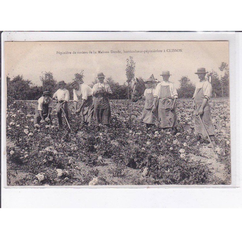 CLISSON: pépinière de rosiers de la maison dande, horticulture-pépiniériste - très bon état