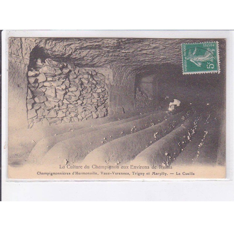 HERMONVILLE: champignonnières - très bon état