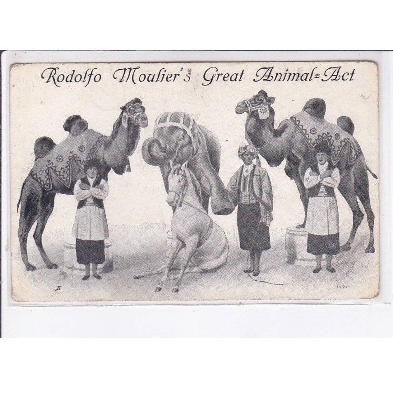 rodolfo moulier's great animal:act, cirque, dompteur - état