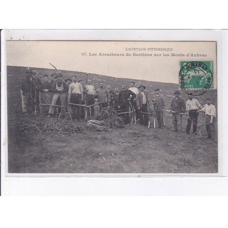 AUBRAC: les arracheurs de gentiane sur les monts d'aubrac - très bon état