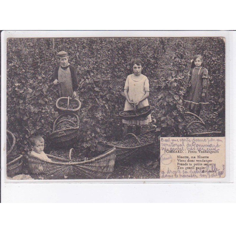 POMMARD: petits vendangeurs - très bon état