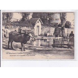 RONSENAC: la fontaine, boeufs - état